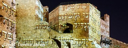Pro-Israel Organizations Delegations - Tower of David