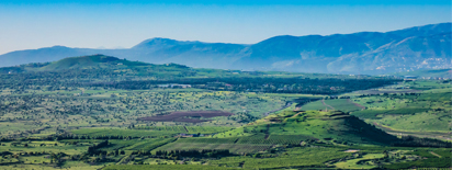 Vegan Tours to Israel - Golan Heights