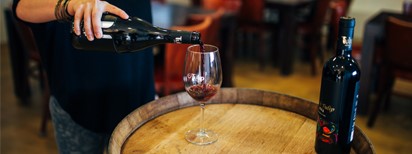 Pro-Israel Organizations Delegations - Wine Tasting