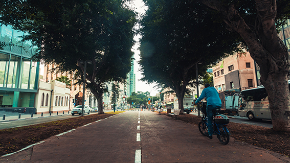 Attractions in Tel Aviv